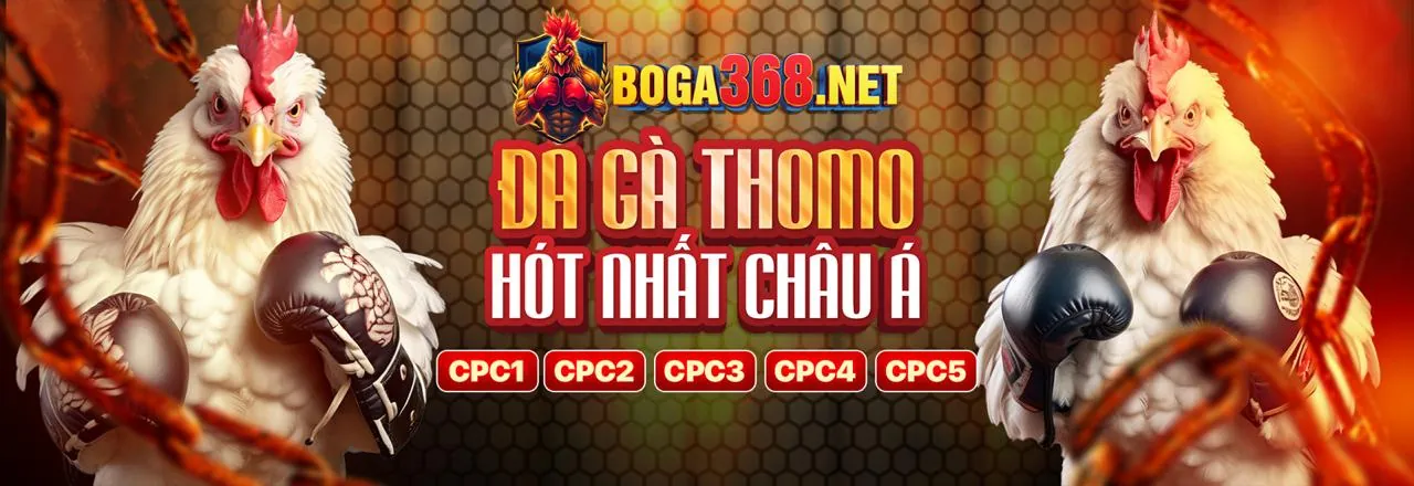Banner khuyến mãi 88AA118 hấp dẫn