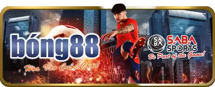 Đá Gà Trực Tiếp HD
